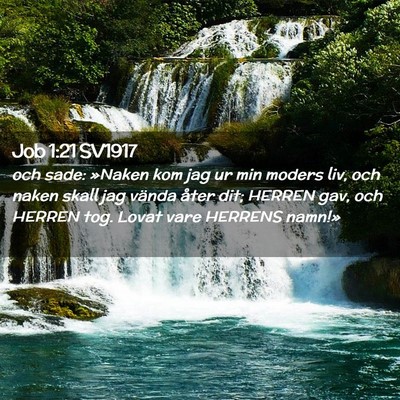 Picture 02 - Job 1:21 SV1917 - och sade: »Naken kom jag ur min moders liv, och - Bible Verse Picture