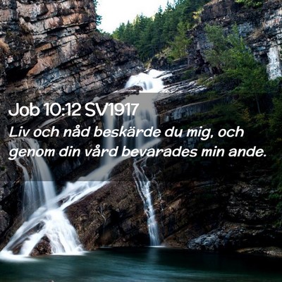 Picture 02 - Job 10:12 SV1917 - Liv och nåd beskärde du mig, och genom din - Bible Verse Picture