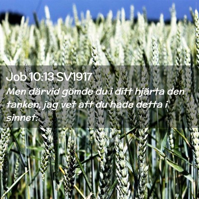 Picture 02 - Job 10:13 SV1917 - Men därvid gömde du i ditt hjärta den tanken, - Bible Verse Picture