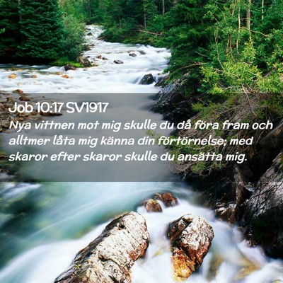 Picture 02 - Job 10:17 SV1917 - Nya vittnen mot mig skulle du då föra fram och - Bible Verse Picture