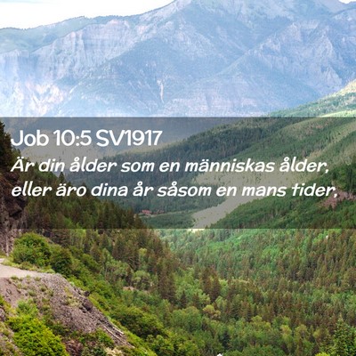 Picture 02 - Job 10:5 SV1917 - Är din ålder som en människas ålder, eller - Bible Verse Picture