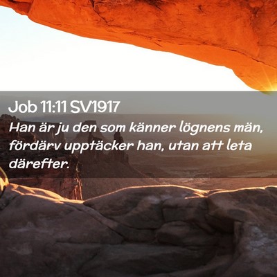 Picture 02 - Job 11:11 SV1917 - Han är ju den som känner lögnens män, - Bible Verse Picture