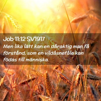 Picture 02 - Job 11:12 SV1917 - Men lika lätt kan en dåraktig man få - Bible Verse Picture
