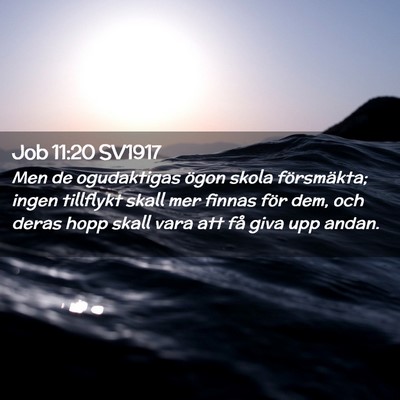 Picture 02 - Job 11:20 SV1917 - Men de ogudaktigas ögon skola försmäkta; ingen - Bible Verse Picture