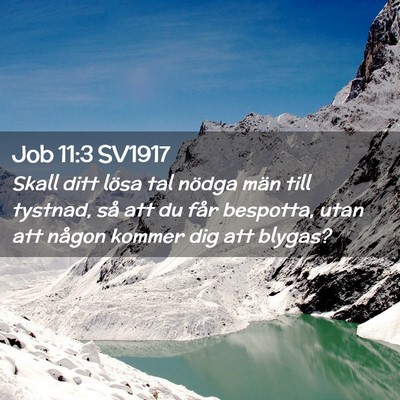 Picture 02 - Job 11:3 SV1917 - Skall ditt lösa tal nödga män till tystnad, - Bible Verse Picture