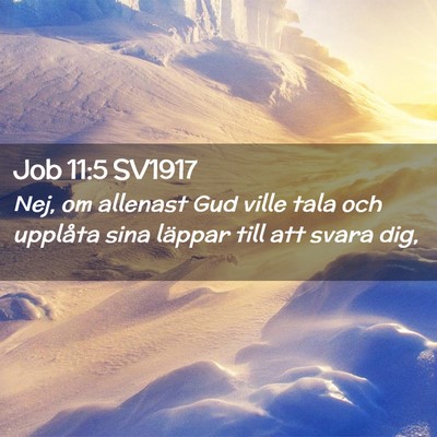 Picture 02 - Job 11:5 SV1917 - Nej, om allenast Gud ville tala och upplåta sina - Bible Verse Picture