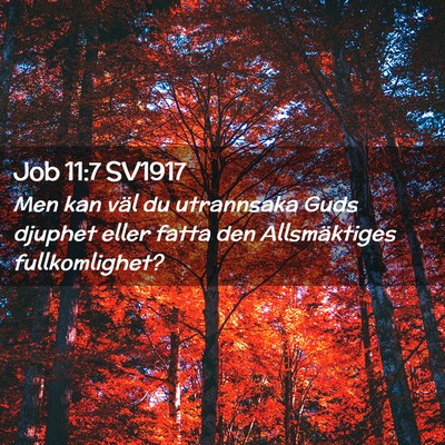 Picture 02 - Job 11:7 SV1917 - Men kan väl du utrannsaka Guds djuphet eller - Bible Verse Picture