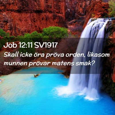 Picture 02 - Job 12:11 SV1917 - Skall icke öra pröva orden, likasom munnen - Bible Verse Picture