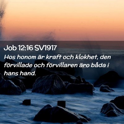 Picture 02 - Job 12:16 SV1917 - Hos honom är kraft och klokhet, den förvillade - Bible Verse Picture