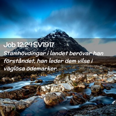 Picture 02 - Job 12:24 SV1917 - Stamhövdingar i landet berövar han - Bible Verse Picture