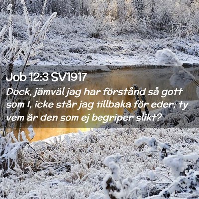 Picture 02 - Job 12:3 SV1917 - Dock, jämväl jag har förstånd så gott som I, - Bible Verse Picture