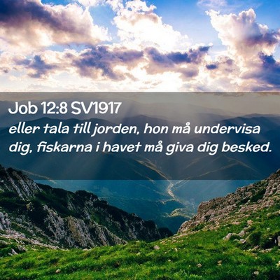 Picture 02 - Job 12:8 SV1917 - eller tala till jorden, hon må undervisa dig, - Bible Verse Picture