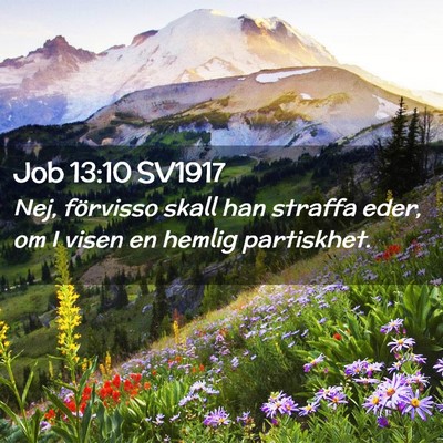 Picture 02 - Job 13:10 SV1917 - Nej, förvisso skall han straffa eder, om I visen - Bible Verse Picture