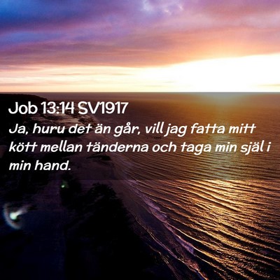 Picture 02 - Job 13:14 SV1917 - Ja, huru det än går, vill jag fatta mitt kött - Bible Verse Picture