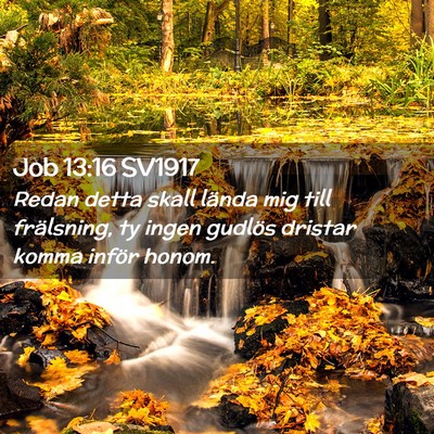 Picture 02 - Job 13:16 SV1917 - Redan detta skall lända mig till frälsning, ty - Bible Verse Picture
