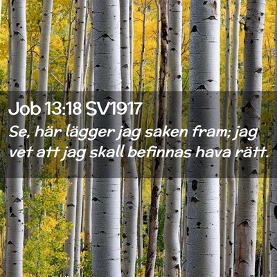 Picture 02 - Job 13:18 SV1917 - Se, här lägger jag saken fram; jag vet att jag - Bible Verse Picture
