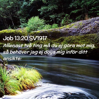 Picture 02 - Job 13:20 SV1917 - Allenast två ting må du ej göra mot mig, så - Bible Verse Picture