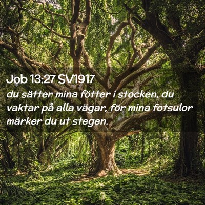 Picture 02 - Job 13:27 SV1917 - du sätter mina fötter i stocken, du vaktar på - Bible Verse Picture