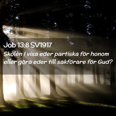 Picture 02 - Job 13:8 SV1917 - Skolen I visa eder partiska för honom eller - Bible Verse Picture