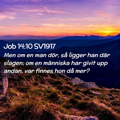 Picture 02 - Job 14:10 SV1917 - Men om en man dör, så ligger han där slagen; - Bible Verse Picture
