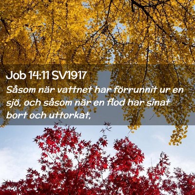 Picture 02 - Job 14:11 SV1917 - Såsom när vattnet har förrunnit ur en sjö, - Bible Verse Picture