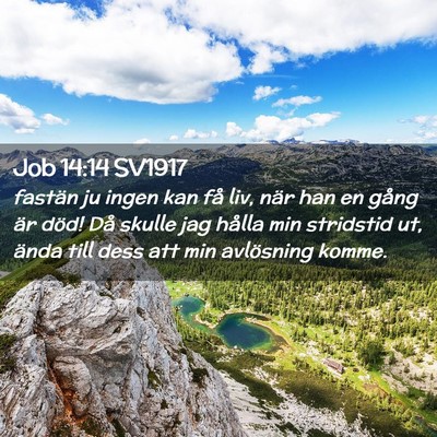 Picture 02 - Job 14:14 SV1917 - fastän ju ingen kan få liv, när han en gång - Bible Verse Picture