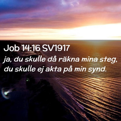 Picture 02 - Job 14:16 SV1917 - ja, du skulle då räkna mina steg, du skulle ej - Bible Verse Picture