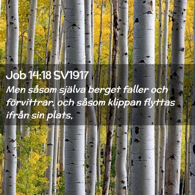 Picture 02 - Job 14:18 SV1917 - Men såsom själva berget faller och förvittrar, - Bible Verse Picture