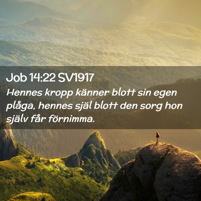 Picture 02 - Job 14:22 SV1917 - Hennes kropp känner blott sin egen plåga, - Bible Verse Picture