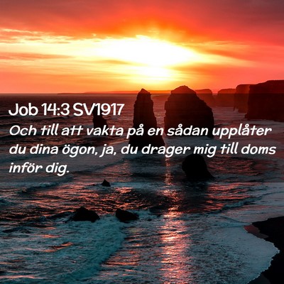 Picture 02 - Job 14:3 SV1917 - Och till att vakta på en sådan upplåter du - Bible Verse Picture