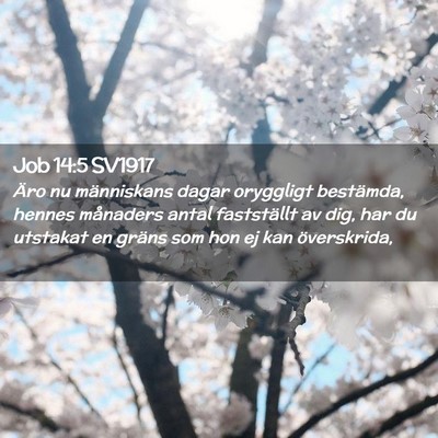 Picture 02 - Job 14:5 SV1917 - Äro nu människans dagar oryggligt bestämda, - Bible Verse Picture