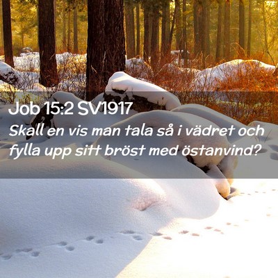 Picture 02 - Job 15:2 SV1917 - Skall en vis man tala så i vädret och fylla upp - Bible Verse Picture