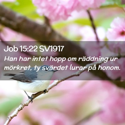 Picture 02 - Job 15:22 SV1917 - Han har intet hopp om räddning ur mörkret, ty - Bible Verse Picture