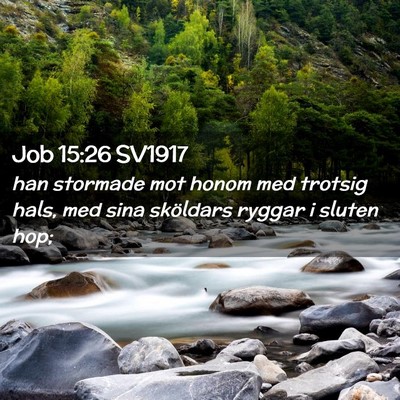 Picture 02 - Job 15:26 SV1917 - han stormade mot honom med trotsig hals, med sina - Bible Verse Picture