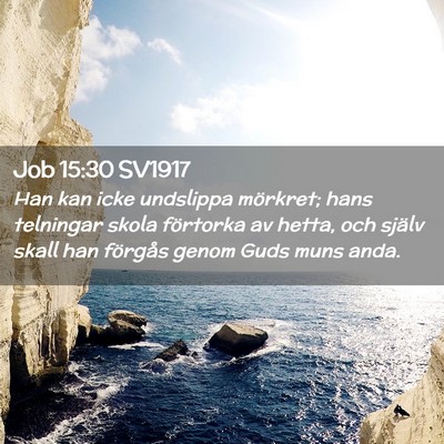 Picture 02 - Job 15:30 SV1917 - Han kan icke undslippa mörkret; hans telningar - Bible Verse Picture