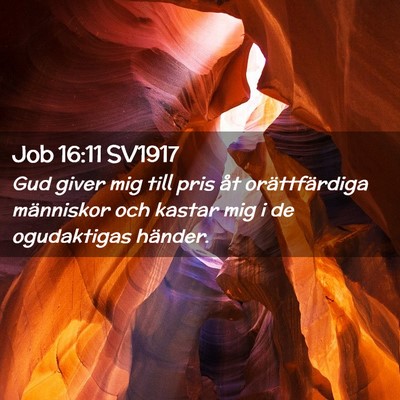 Picture 02 - Job 16:11 SV1917 - Gud giver mig till pris åt orättfärdiga - Bible Verse Picture