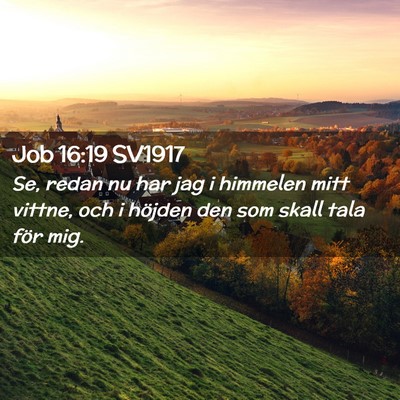 Picture 02 - Job 16:19 SV1917 - Se, redan nu har jag i himmelen mitt vittne, och - Bible Verse Picture