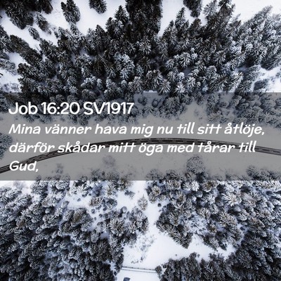 Picture 02 - Job 16:20 SV1917 - Mina vänner hava mig nu till sitt åtlöje, - Bible Verse Picture