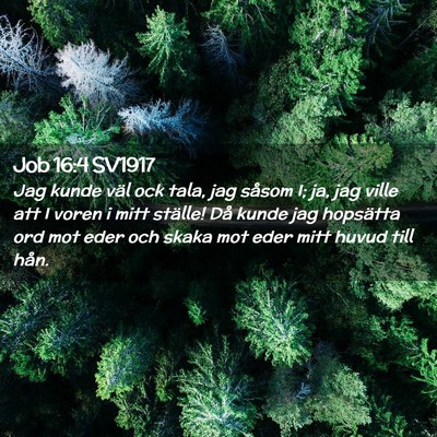 Picture 02 - Job 16:4 SV1917 - Jag kunde väl ock tala, jag såsom I; ja, jag - Bible Verse Picture