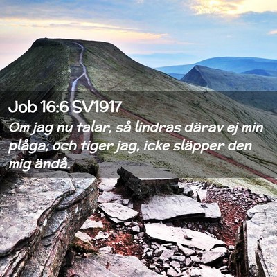 Picture 02 - Job 16:6 SV1917 - Om jag nu talar, så lindras därav ej min - Bible Verse Picture