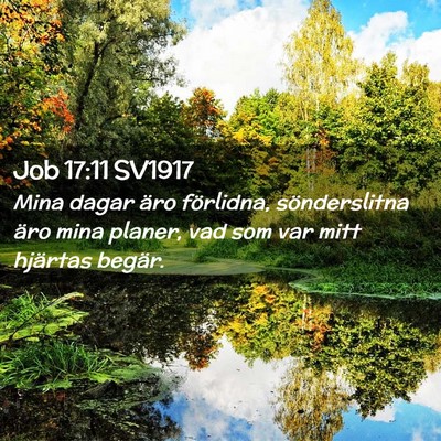 Picture 02 - Job 17:11 SV1917 - Mina dagar äro förlidna, sönderslitna äro - Bible Verse Picture