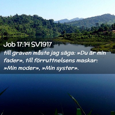 Picture 02 - Job 17:14 SV1917 - till graven måste jag säga: »Du är min - Bible Verse Picture
