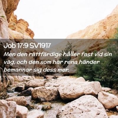 Picture 02 - Job 17:9 SV1917 - Men den rättfärdige håller fast vid sin väg, - Bible Verse Picture