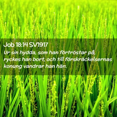 Picture 02 - Job 18:14 SV1917 - Ur sin hydda, som han förtröstar på, ryckes - Bible Verse Picture