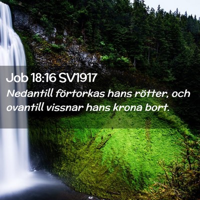 Picture 02 - Job 18:16 SV1917 - Nedantill förtorkas hans rötter, och ovantill - Bible Verse Picture
