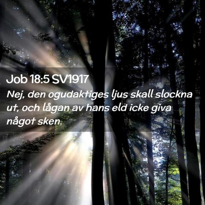 Picture 02 - Job 18:5 SV1917 - Nej, den ogudaktiges ljus skall slockna ut, och - Bible Verse Picture