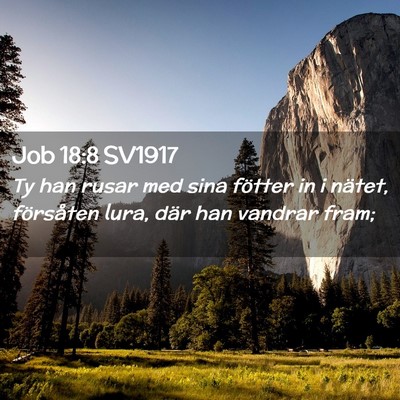 Picture 02 - Job 18:8 SV1917 - Ty han rusar med sina fötter in i nätet, - Bible Verse Picture