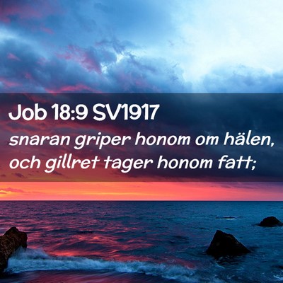Picture 02 - Job 18:9 SV1917 - snaran griper honom om hälen, och gillret tager - Bible Verse Picture