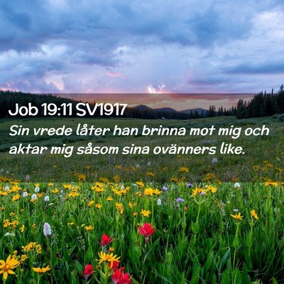 Picture 02 - Job 19:11 SV1917 - Sin vrede låter han brinna mot mig och aktar mig - Bible Verse Picture