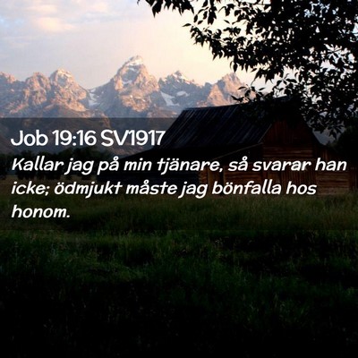Picture 02 - Job 19:16 SV1917 - Kallar jag på min tjänare, så svarar han icke; - Bible Verse Picture